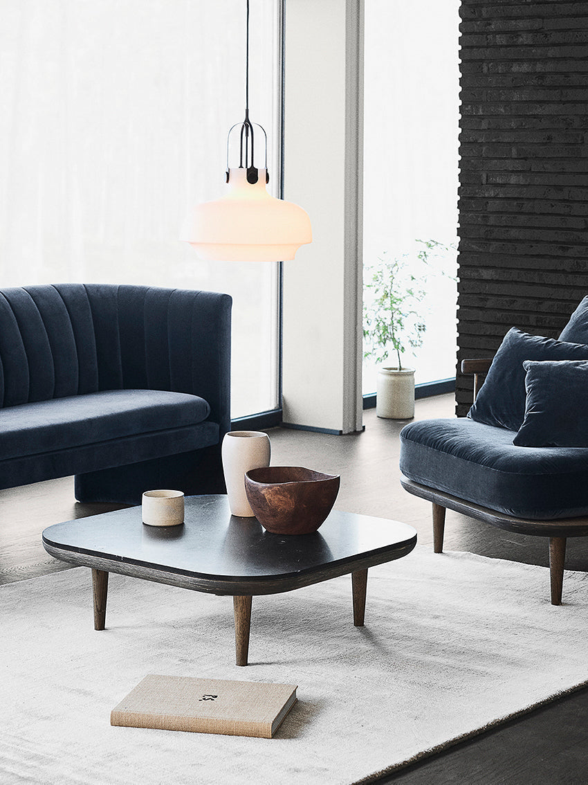 Fly <sup style="font-size:12px;"> SC4 </sup>